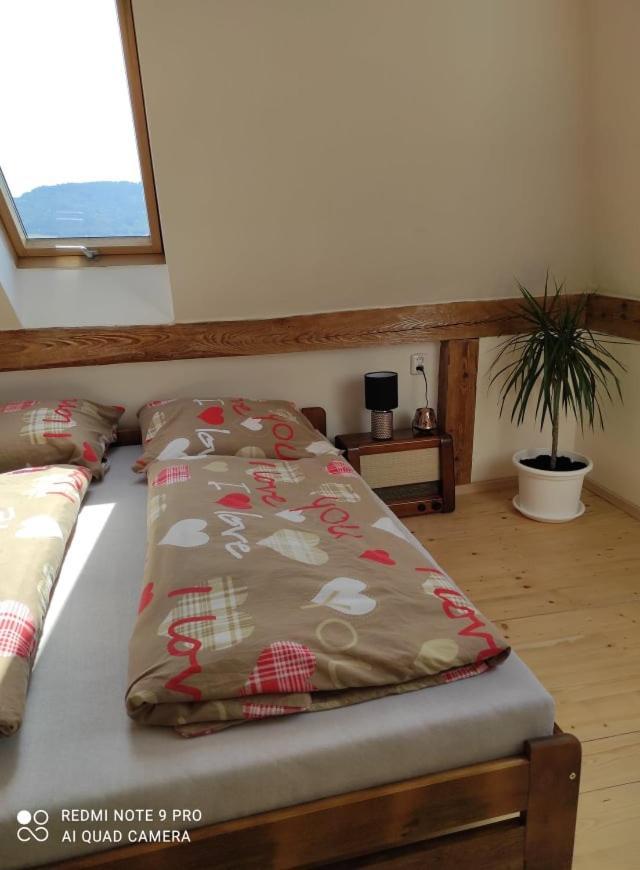 Art-House 4 Attic Apartment ديشين المظهر الخارجي الصورة
